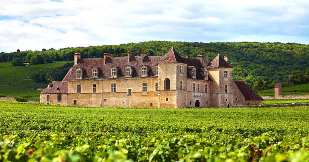 Vineyard and Chateau