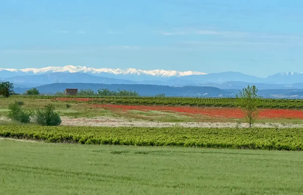 Barge Johanna Canal du Midi View