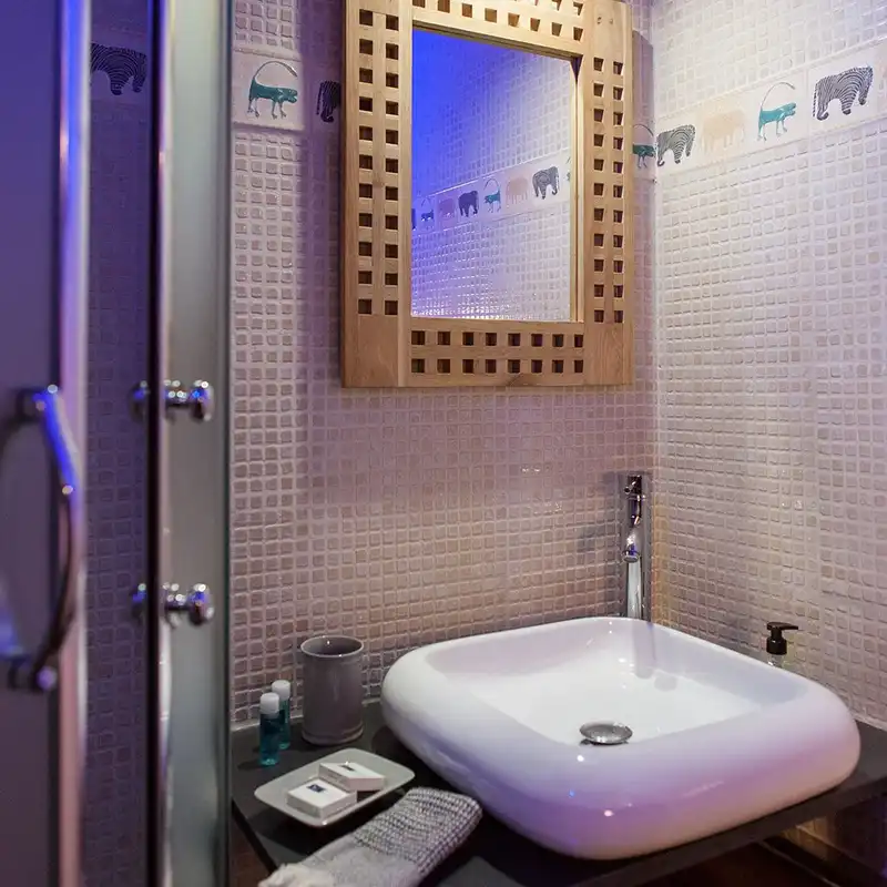 Barge Mirage Cabin 1 Bath Canal du Midi