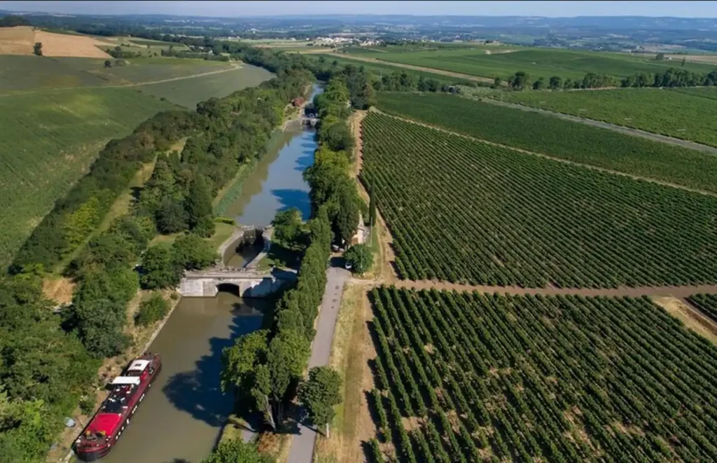 Mirage-through-vineyards Canal du Midi