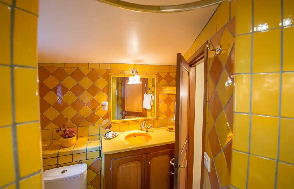 Barge Tango Van Gogh Cabin Bath Bordeaux